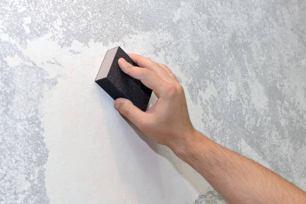 Trusted Arma, KS Mold Removal Experts