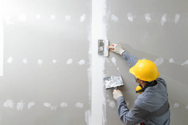 Best Post-Construction Mold Inspection  in Arma, KS